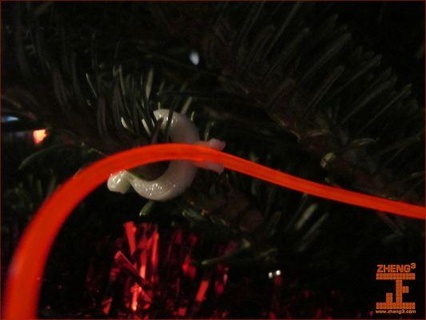 el wire christmas tree clip redpah 3d print model - Mito3D