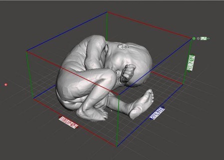 26 settimana fetale bambino riproduzione prezioso andy rossa 3d print model - Mito3D