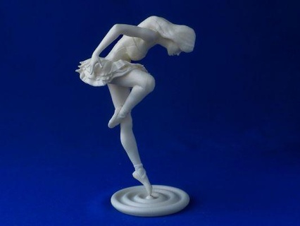 negro cisne redpah 3d print model - Mito3D