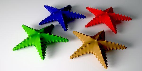 sea star redpah 3d print model - Mito3D