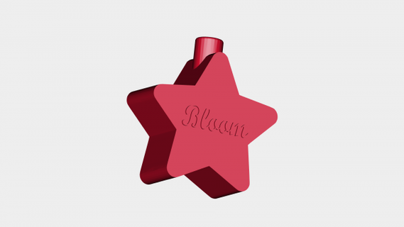 star bloom redpah 3d print model - Mito3D