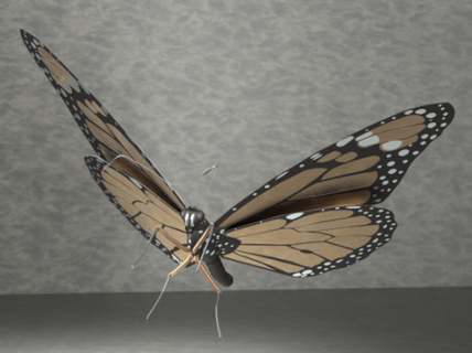Monarch Schmetterling redpah 3d print model - Mito3D