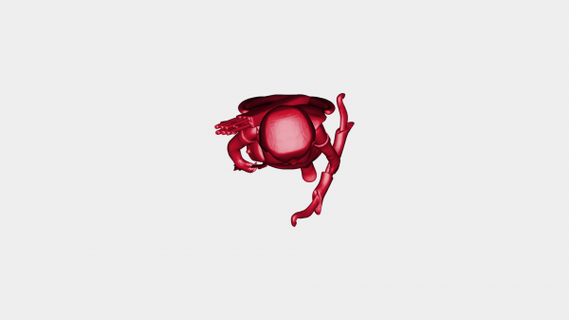 ladro rossa 3d print model - Mito3D
