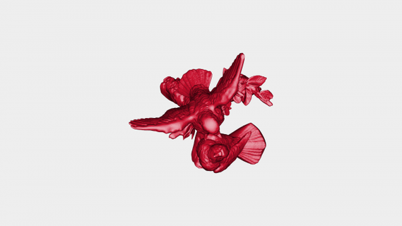 colombe coo rossa 3d print model - Mito3D