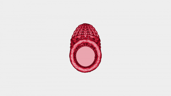 lavorato maglia calza contenitore rossa 3d print model - Mito3D