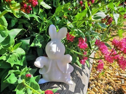 peter rabbit redpah 3d print model - Mito3D