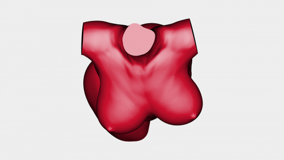 femmina torso rossa 3d print model - Mito3D