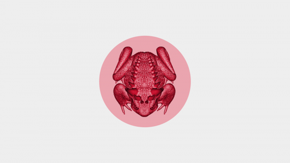 iblis karakurbağası redpah 3d print model - Mito3D