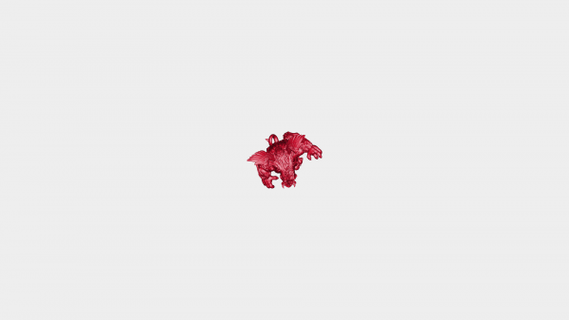 selvaggio seminare rossa 3d print model - Mito3D