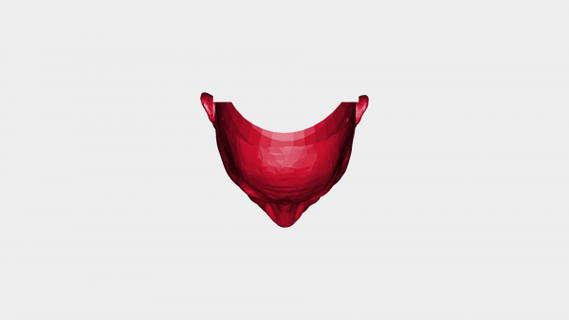 dwayne johnson maschera rossa 3d print model - Mito3D
