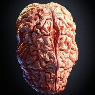 demon brain face mask redpah 3d print model - Mito3D