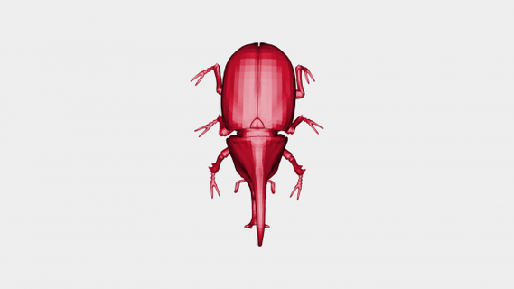 hercules beetle redpah 3d print model - Mito3D