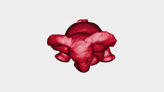 timido bambino elefante rossa 3d print model - Mito3D