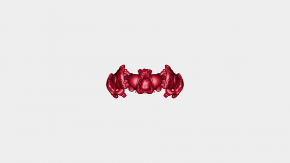 vi arcano rossa 3d print model - Mito3D
