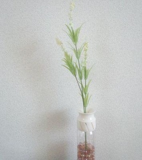 pet vase cap 01 redpah 3d print model - Mito3D