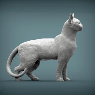 abissínio gato 3d impressão modelo 2 alexander3dart 3d print model - Mito3D