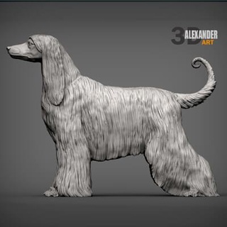 afghan hound 3d print model alexander3dart 3d print model - Mito3D