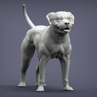 amerikanisch Bulldogge 3d drucken Modell alexander3dart 3d print model - Mito3D