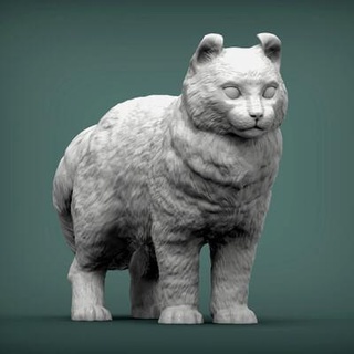 Amerikan kıvırmak kedi 3d Yazdır model alexander3dart 3d print model - Mito3D