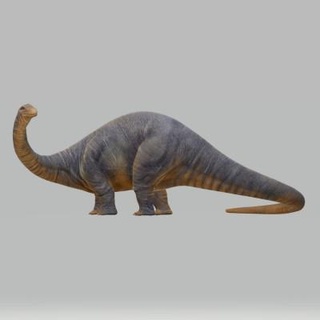 Apatosaurus dinosauro 3d Stampa modello all 39 alba 3d print model - Mito3D