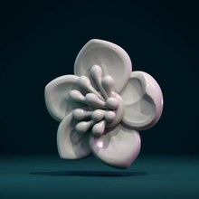 apple flower print ready 3d model but you free think sakura blossommeasure units millimeters 2 cm diametermesh manifold no holes inverted faces bad contiguous edgeshere two version daisy 1 solid blend fbx obj stl flat back side 88048 triangular hollow concaved so wall thickness mm 92660 3d print model - Mito3D