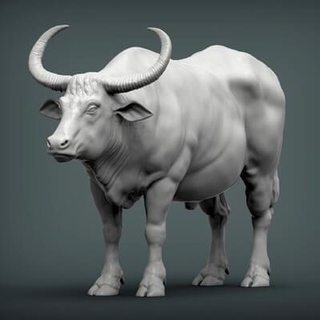asian buffalo 3d print model alexander3dart 3d print model - Mito3D