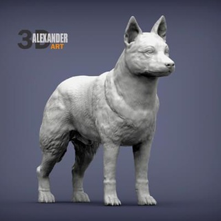 australisch Vieh Hund 3d drucken Modell alexander3dart 3d print model - Mito3D