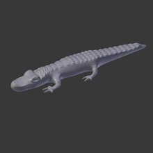 baby-alligator print-ready-3d-Modell hi-res baby aligartor ready 3d-drucken 3d print model - Mito3D