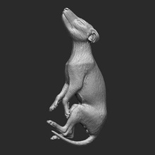 baby thylacinus - position 1 print ready 3d model rbonnacoelho 3d print model - Mito3D