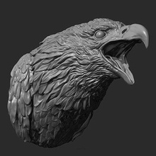 bald eagle head - print ready 3d model guninnik81 3d print model - Mito3D