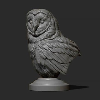 barn owl bust - 3d print model guninnik81 3d print model - Mito3D