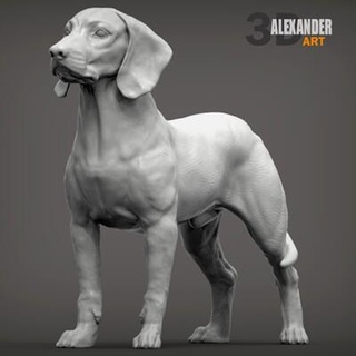 bavarian mountain bloodhound 3d print model alexander3dart 3d print model - Mito3D