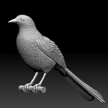 bird magpie - print ready 3d model explorer bird magpie - print ready 3d model explorer 3d print model - Mito3D