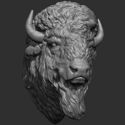 Bison Büste drucken bereit 3d Modell guninnik81 3D print model - Mito3D