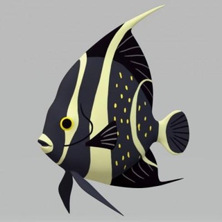 black angelfish - 3d print model dawnhurt 3d print model - Mito3D