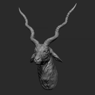 daim noir antilope buste 3d impression modèle guninnik81 3d print model - Mito3D