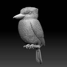 azul alado kookaburra impressão pronto 3d modelo explorador 3d print model - Mito3D