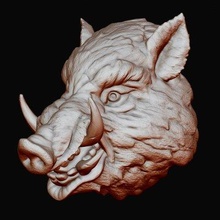 boar head - print ready 3d model alexkovalev 3d print model - Mito3D