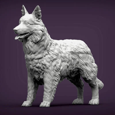 frontera collie 3d impresión modelo alexander3dart 3D print model - Mito3D