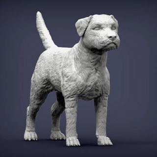 border terrier 3d print model alexander3dart 3d print model - Mito3D