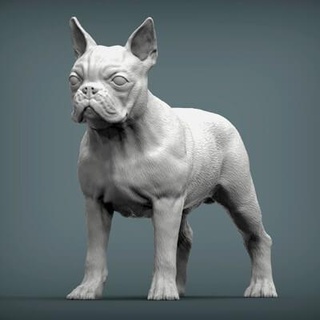 Boston terrier 3d impression modèle alexander3dart 3d print model - Mito3D