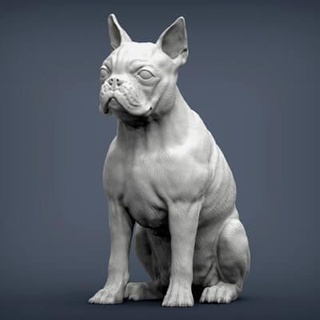 boston terrier 3d impressão modelo alexander3dart 3d print model - Mito3D