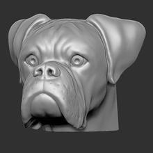boxer dog head - print ready 3d model printedreality 3d print model - Mito3D