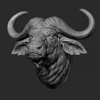 buffalo shaggy head - 3d print model guninnik81 3d print model - Mito3D
