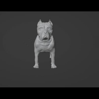 toro perro cuello cadena 3d impresión modelo hammad Hussain 3d print model - Mito3D