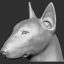 Toro terrier cane testa Stampa pronto 3d modello stampata realtà 3d print model - Mito3D
