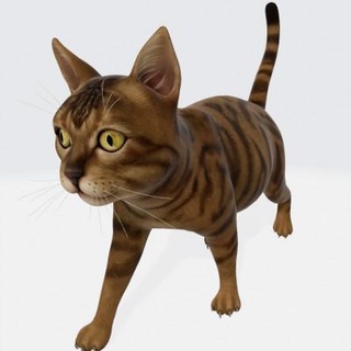 gato animal escultura 3d impresión modelo amanecer herido 3d print model - Mito3D