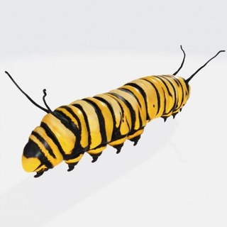 caterpillar insect - 3d print model dawnhurt 3d print model - Mito3D