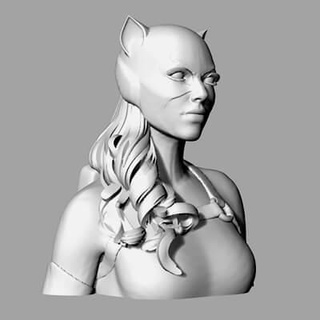kedi Kadın büst 3d Yazdır model 3dmodeldesigner 3d print model - Mito3D