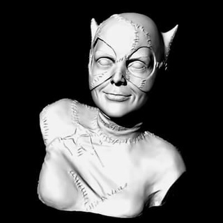 catwoman bust - 3d print model 3dmodeldesigner 3d print model - Mito3D